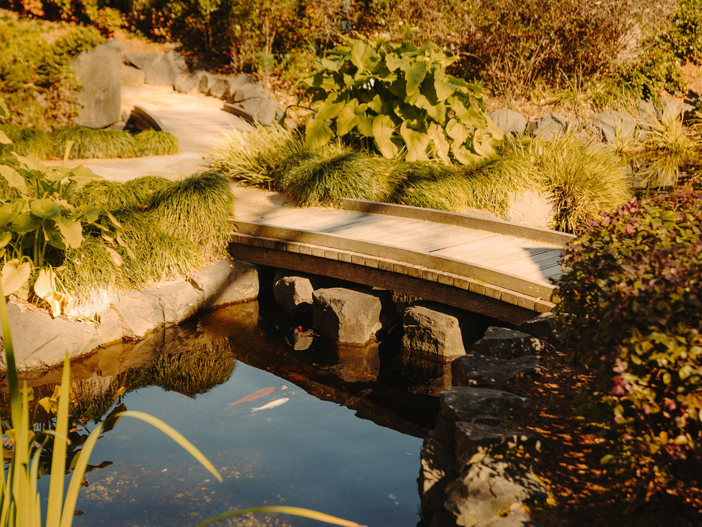 Living in Campbelltown: Parks, Retail & Lifestyle